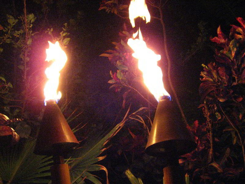 Mai-Kai-Restaurant-Review-Fort-Lauderdale-FL-006