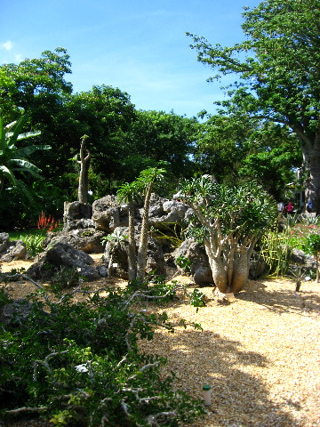 Mango-Festival-2007-Fairchild-Coral-Gables-FL-009