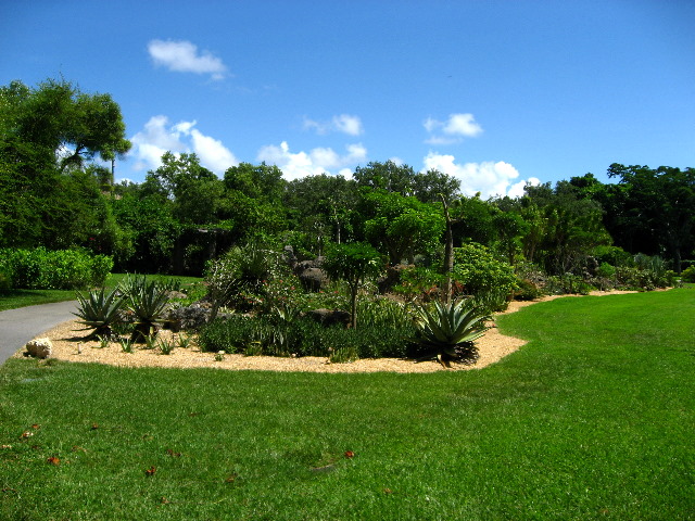 Mango-Festival-2007-Fairchild-Coral-Gables-FL-040