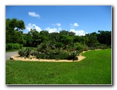 Mango-Festival-2007-Fairchild-Coral-Gables-FL-040