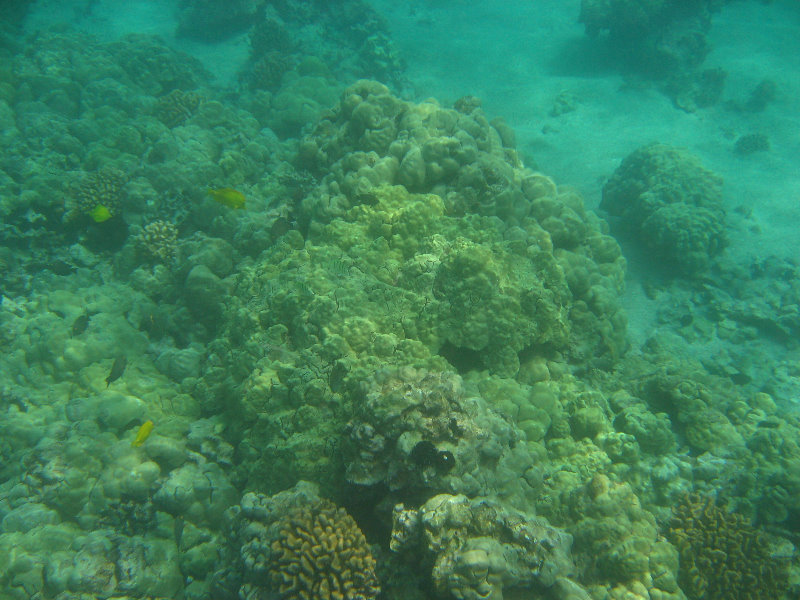 Manini-Beach-Napoopoo-Park-Captain-Cook-Big-Island-Hawaii-020