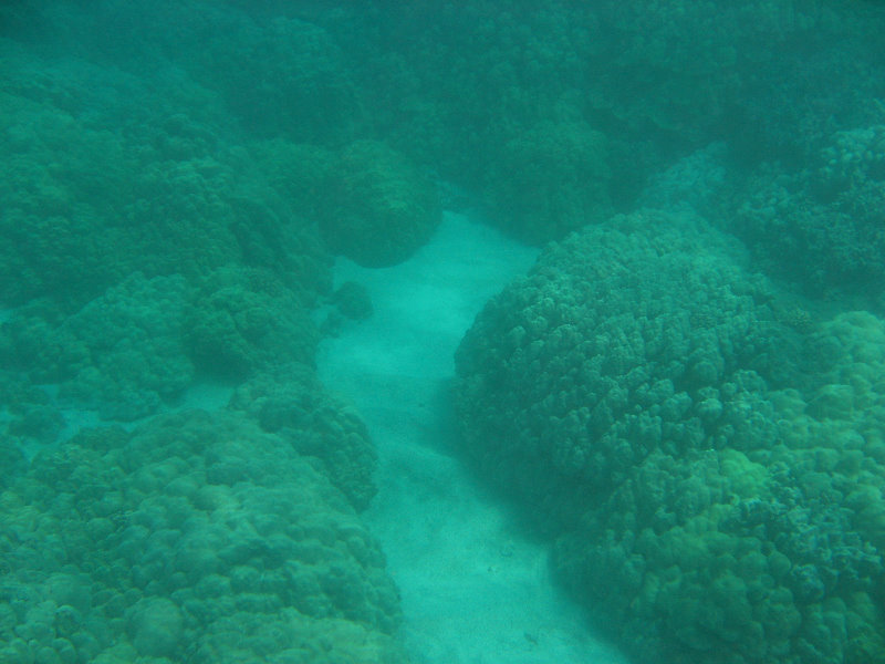 Manini-Beach-Napoopoo-Park-Captain-Cook-Big-Island-Hawaii-021