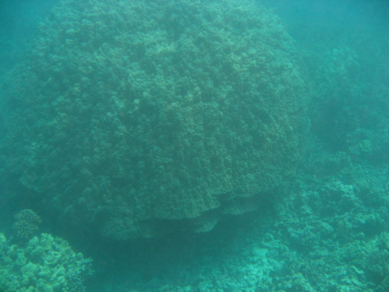 Manini-Beach-Napoopoo-Park-Captain-Cook-Big-Island-Hawaii-023