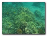 Manini-Beach-Napoopoo-Park-Captain-Cook-Big-Island-Hawaii-020