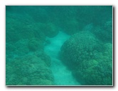 Manini-Beach-Napoopoo-Park-Captain-Cook-Big-Island-Hawaii-021