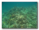 Manini-Beach-Napoopoo-Park-Captain-Cook-Big-Island-Hawaii-030