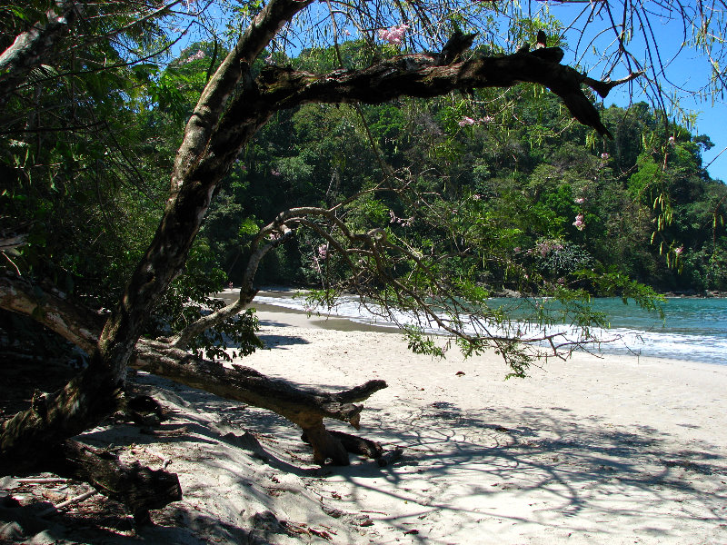 Manuel-Antonio-National-Park-Costa-Rica-042