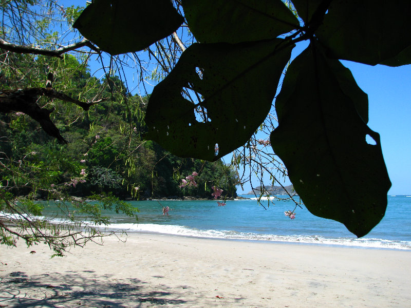 Manuel-Antonio-National-Park-Costa-Rica-045