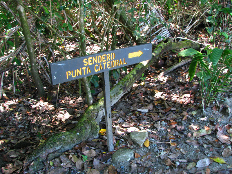 Manuel-Antonio-National-Park-Costa-Rica-047