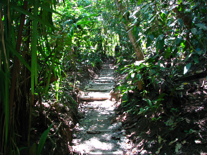 Manuel-Antonio-National-Park-Costa-Rica-049