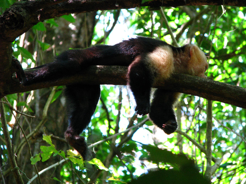 Manuel-Antonio-National-Park-Costa-Rica-050