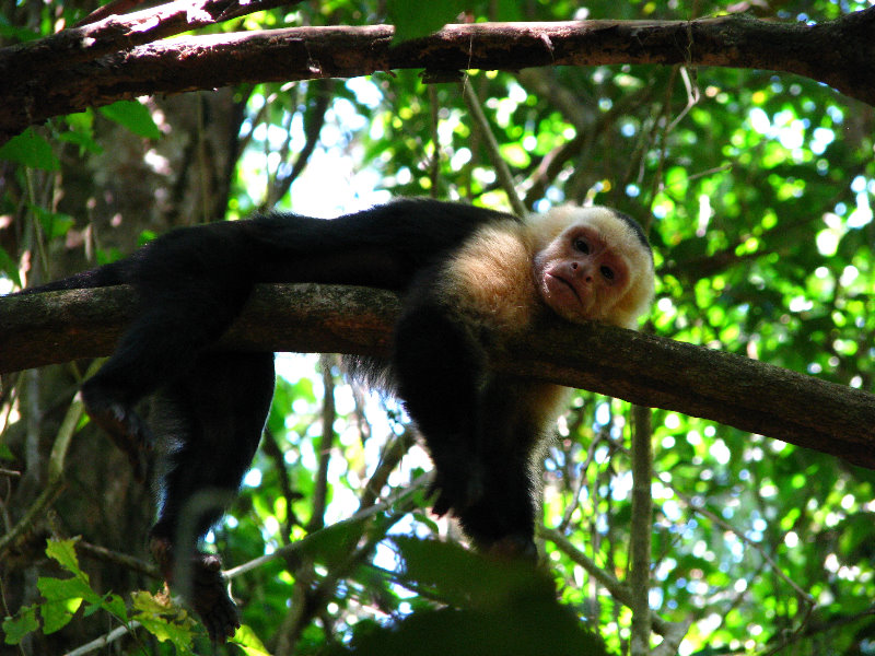 Manuel-Antonio-National-Park-Costa-Rica-051