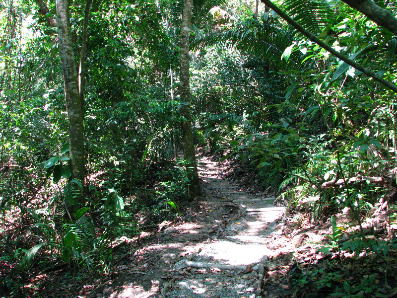 Manuel-Antonio-National-Park-Costa-Rica-058