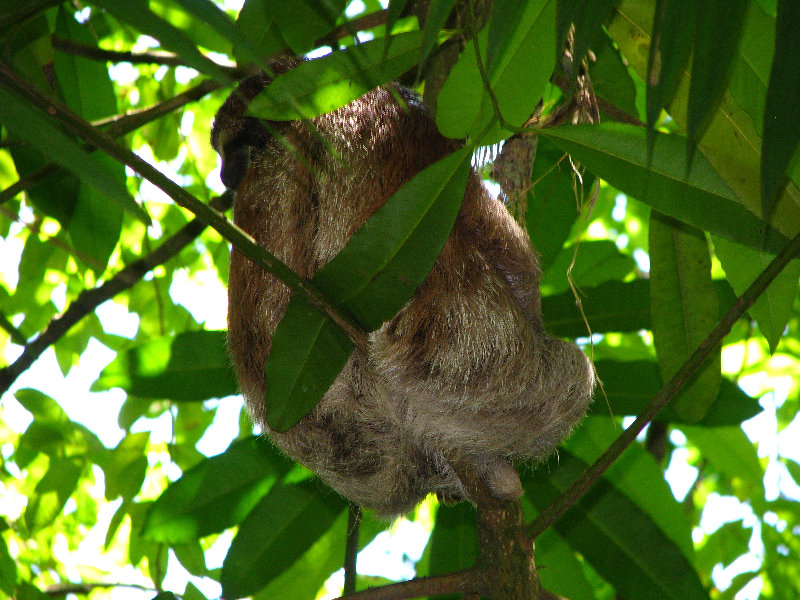 Manuel-Antonio-National-Park-Costa-Rica-069