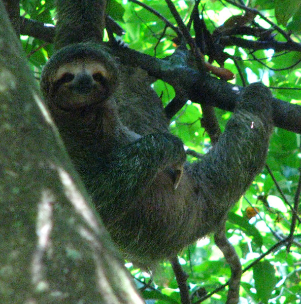 Manuel-Antonio-National-Park-Costa-Rica-071