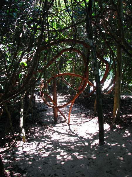 Manuel-Antonio-National-Park-Costa-Rica-073