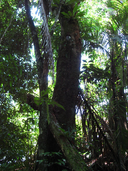 Manuel-Antonio-National-Park-Costa-Rica-075