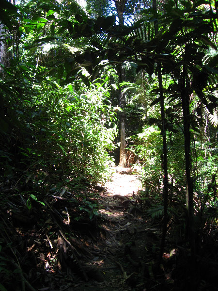 Manuel-Antonio-National-Park-Costa-Rica-076