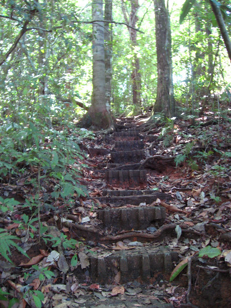 Manuel-Antonio-National-Park-Costa-Rica-079