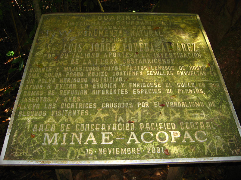 Manuel-Antonio-National-Park-Costa-Rica-081