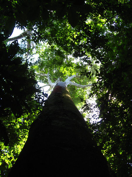 Manuel-Antonio-National-Park-Costa-Rica-083