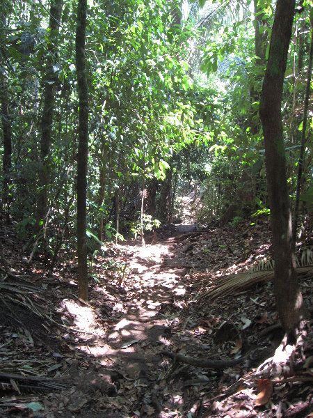 Manuel-Antonio-National-Park-Costa-Rica-085