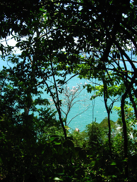 Manuel-Antonio-National-Park-Costa-Rica-086
