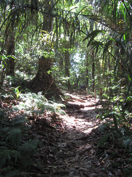 Manuel-Antonio-National-Park-Costa-Rica-090
