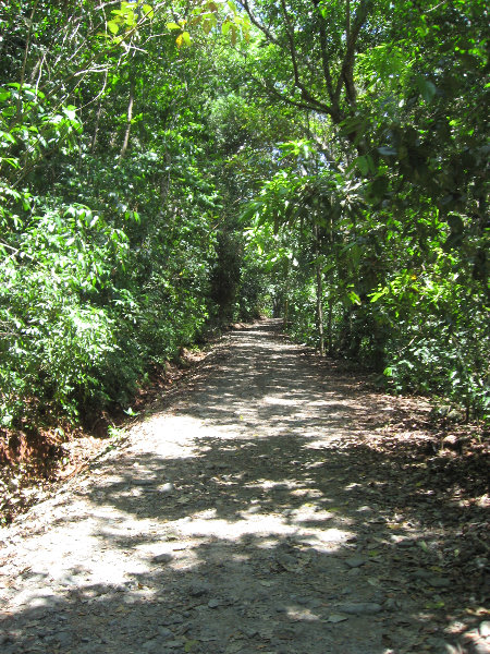 Manuel-Antonio-National-Park-Costa-Rica-111