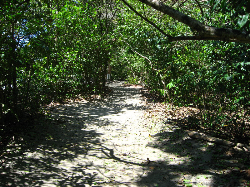 Manuel-Antonio-National-Park-Costa-Rica-114