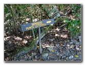 Manuel-Antonio-National-Park-Costa-Rica-047