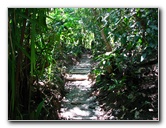 Manuel-Antonio-National-Park-Costa-Rica-049