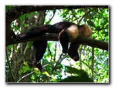 Manuel-Antonio-National-Park-Costa-Rica-050