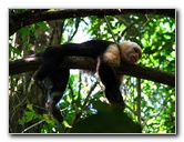 Manuel-Antonio-National-Park-Costa-Rica-052