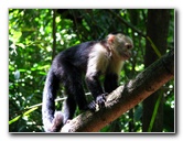 Manuel-Antonio-National-Park-Costa-Rica-053