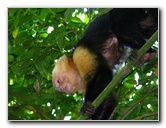 Manuel-Antonio-National-Park-Costa-Rica-055