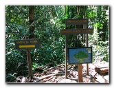 Manuel-Antonio-National-Park-Costa-Rica-057