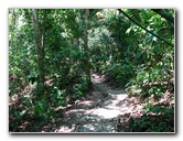 Manuel-Antonio-National-Park-Costa-Rica-058