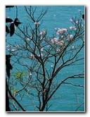 Manuel-Antonio-National-Park-Costa-Rica-063