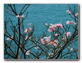 Manuel-Antonio-National-Park-Costa-Rica-064