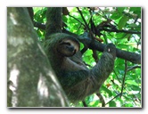 Manuel-Antonio-National-Park-Costa-Rica-072