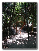 Manuel-Antonio-National-Park-Costa-Rica-073