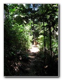 Manuel-Antonio-National-Park-Costa-Rica-076