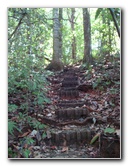 Manuel-Antonio-National-Park-Costa-Rica-079