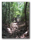 Manuel-Antonio-National-Park-Costa-Rica-085