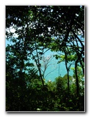 Manuel-Antonio-National-Park-Costa-Rica-086