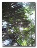 Manuel-Antonio-National-Park-Costa-Rica-091