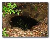 Manuel-Antonio-National-Park-Costa-Rica-092