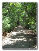 Manuel-Antonio-National-Park-Costa-Rica-111