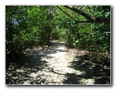 Manuel-Antonio-National-Park-Costa-Rica-114